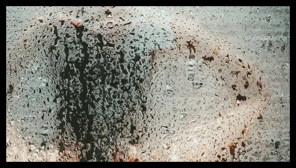 تصویر خبر